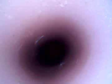 Hardhammerboy Chaturbate stream image from December 29, 2024