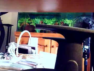 Woodyforyou2 Chaturbate stream image from December 30, 2024