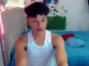 Diaval_11 Chaturbate stream image from December 30, 2024