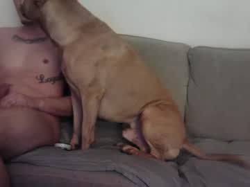 Bigwillydick69 Chaturbate stream image from December 30, 2024