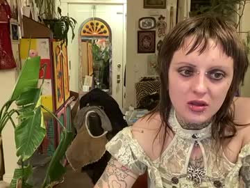 Clitcorner1369 Chaturbate stream image from December 31, 2024