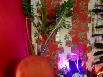Urbigloadedguy0822 Chaturbate stream image from December 31, 2024
