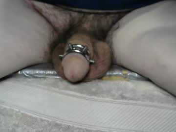 Freewillie1234 Chaturbate stream image from January 03, 2025