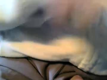 Mistersilver66 Chaturbate stream image from January 03, 2025