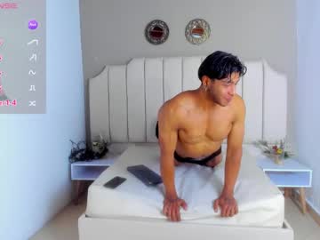 Troyy_Lee Chaturbate stream image from January 03, 2025