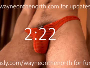 Waynenorth Chaturbate stream image from January 04, 2025