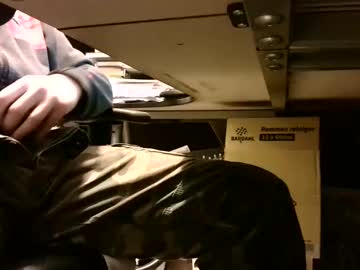 Lonelypumabreizh Chaturbate stream image from January 04, 2025