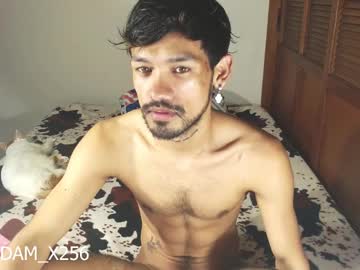 Adam_X256 Chaturbate stream image from January 04, 2025