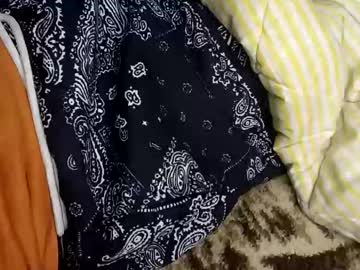 Perdido4_20 Chaturbate stream image from January 05, 2025