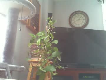 Impala765 Chaturbate stream image from January 05, 2025