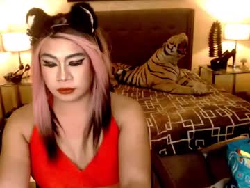 Wildtransjhade Chaturbate stream image from January 06, 2025