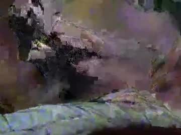 Tinyydancerr Chaturbate stream image from January 06, 2025