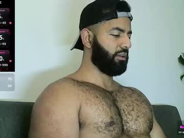 Roa32sebas Chaturbate stream image from January 06, 2025