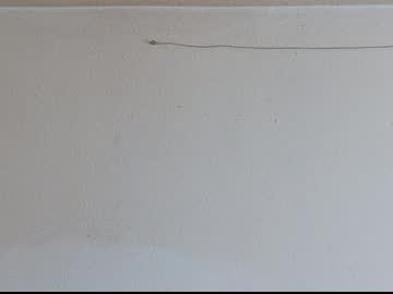 Prendee Chaturbate stream image from January 06, 2025
