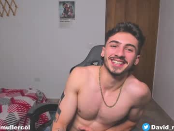 David_Muller_ Chaturbate stream image from January 06, 2025