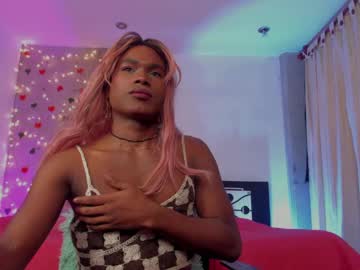 Blackbarbietranns Chaturbate stream image from January 09, 2025