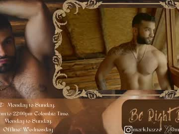 Mark_Hazze Chaturbate stream image from January 11, 2025