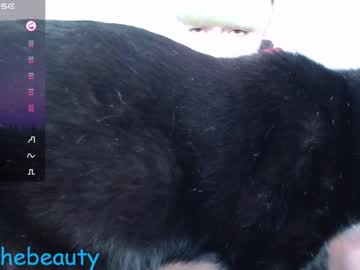 Bellethebeauty20 Chaturbate stream image from January 11, 2025