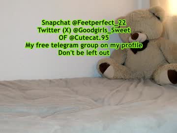 Cutecat_95 Chaturbate stream image from January 11, 2025