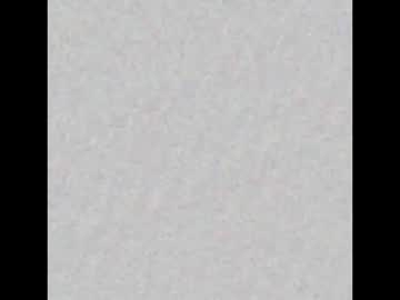 Ladysofianeon Chaturbate stream image from January 11, 2025