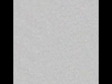 Chiwawatop Chaturbate stream image from January 12, 2025
