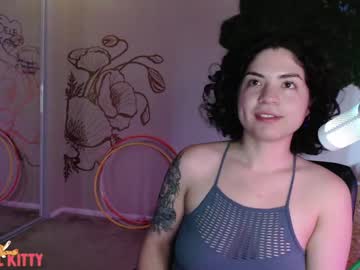 Festivalkittycici stream image from January 12, 2025