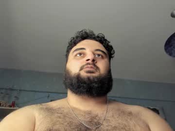_Alan_Bear_ Chaturbate stream image from January 14, 2025