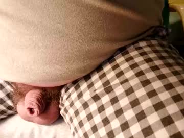 Snebolden Chaturbate stream image from January 15, 2025