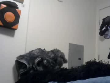 Xbigtymerx Chaturbate stream image from January 16, 2025