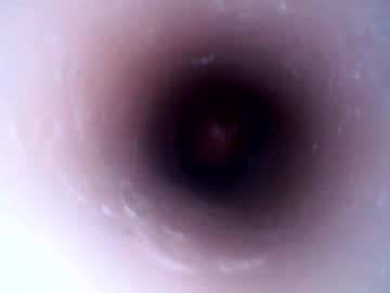 Hardhammerboy Chaturbate stream image from January 16, 2025