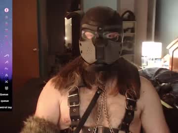 Kinkywolf87 Chaturbate stream image from January 19, 2025