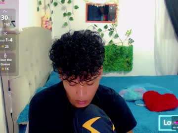 Diaval_11 Chaturbate stream image from January 20, 2025