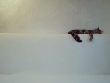 Queenofmodels Chaturbate stream image from January 20, 2025