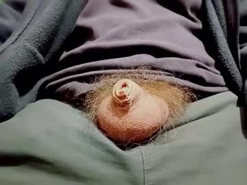 Smallhairyuncut Chaturbate stream image from January 20, 2025
