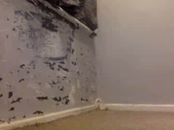 Bumboyuk_2021 Chaturbate stream image from January 22, 2025
