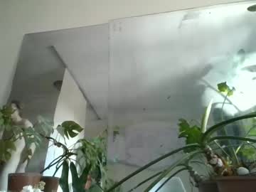 Shitey_12 Chaturbate stream image from January 22, 2025