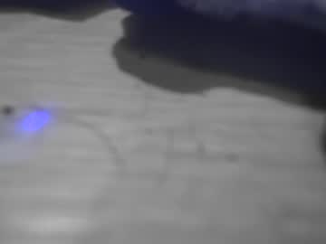 Surfsupnsd Chaturbate stream image from January 22, 2025