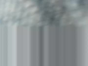 Wolverine525 Chaturbate stream image from January 23, 2025