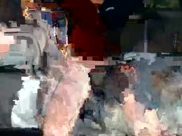 Bradpokeamam Chaturbate stream image from January 24, 2025