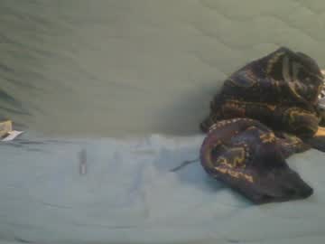 Sweetaussieb Chaturbate stream image from January 24, 2025
