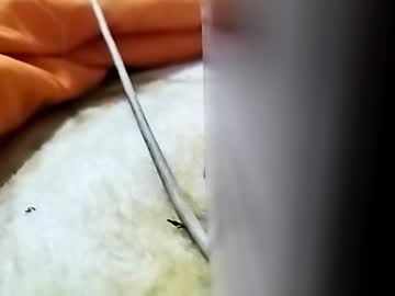 Jaimescook Chaturbate stream image from January 25, 2025