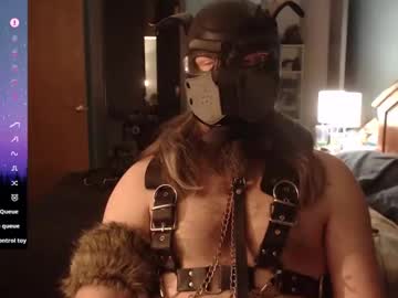 Kinkywolf87 Chaturbate stream image from January 26, 2025