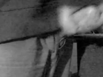 Sodesperateoh Chaturbate stream image from January 27, 2025