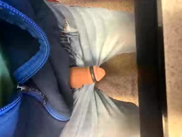 Perfectnoodle Chaturbate stream image from January 28, 2025