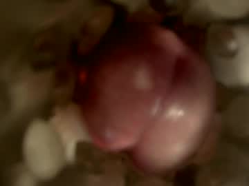 Nocturnusfuz Chaturbate stream image from January 30, 2025