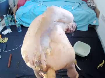 Shitmanfr Chaturbate stream image from January 31, 2025