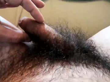 Littlebush3000 Chaturbate stream image from February 01, 2025