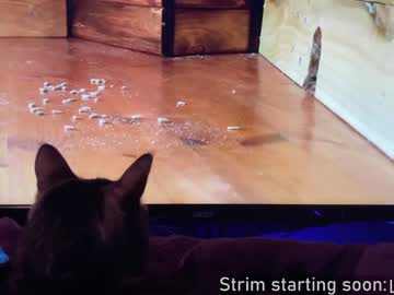 Booker_Baxton Chaturbate stream image from February 02, 2025