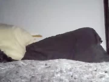 Ryckyxxx Chaturbate stream image from February 02, 2025