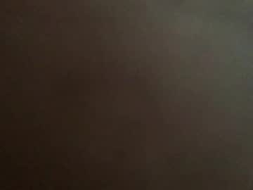 Shyfox123 Chaturbate stream image from February 03, 2025